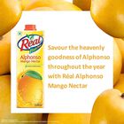 Alphonso Mango Fruit Juice, , small image number null