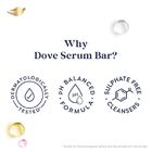 Body Soap Variety Pack, , small