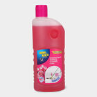 Disinfectant Floor Cleaner + Toilet Cleaner + Dish wash Liquid, , small