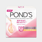 Bright Beauty Skin Cream, , small image number null