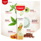 Vedshakti Tooth Paste, , small image number null