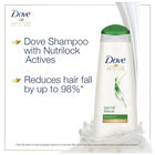Hair fall Rescue Hair Shampoo, , small image number null