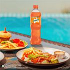 Orange Soft Drink, , small image number null