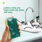Sponge Scrubber, , small image number null