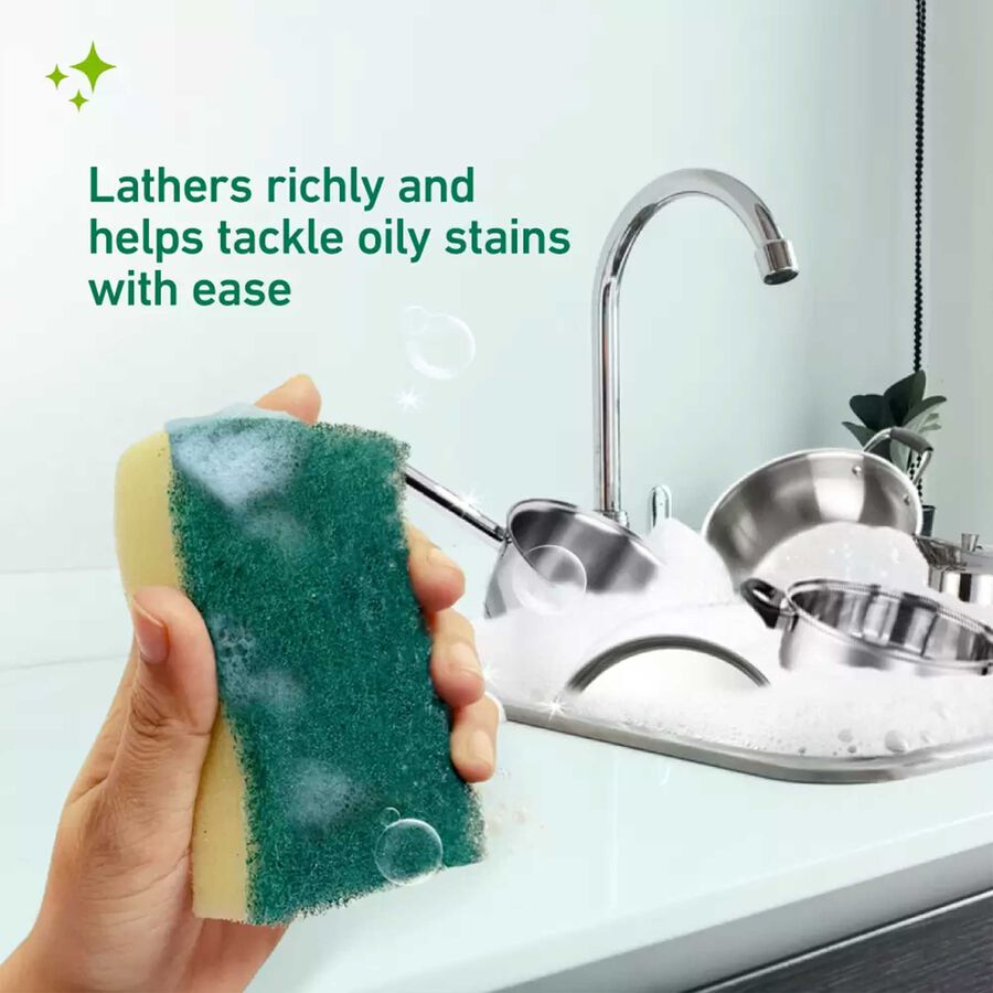 Sponge Scrubber, , large image number null