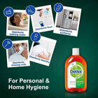 Antiseptic Liquid, , small image number null