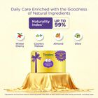 Golden Baby Gift pack, , small