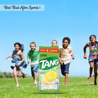 Instant Drink Mix - Lemon, , small image number null