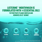 Cavity Fight Mouth Wash, , small image number null