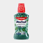 Fresh Mint Mouthwash, , small image number null