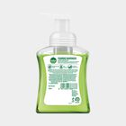 Aloe Coconut Foaming Handwash, , small
