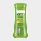 Dryness Control Hair Shampoo, , small image number null