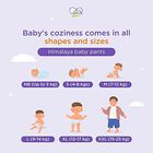 Diaper Pants - Extra Large, , small
