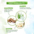 Facewash - Aloevera, 100 ml, small