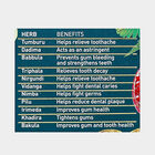 Ayurveda Gum Care Tooth Paste, , small