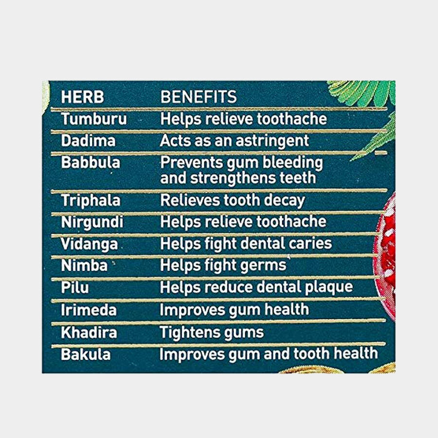 Ayurveda Gum Care Tooth Paste, , large