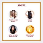 Almond Hair Oil, , small image number null