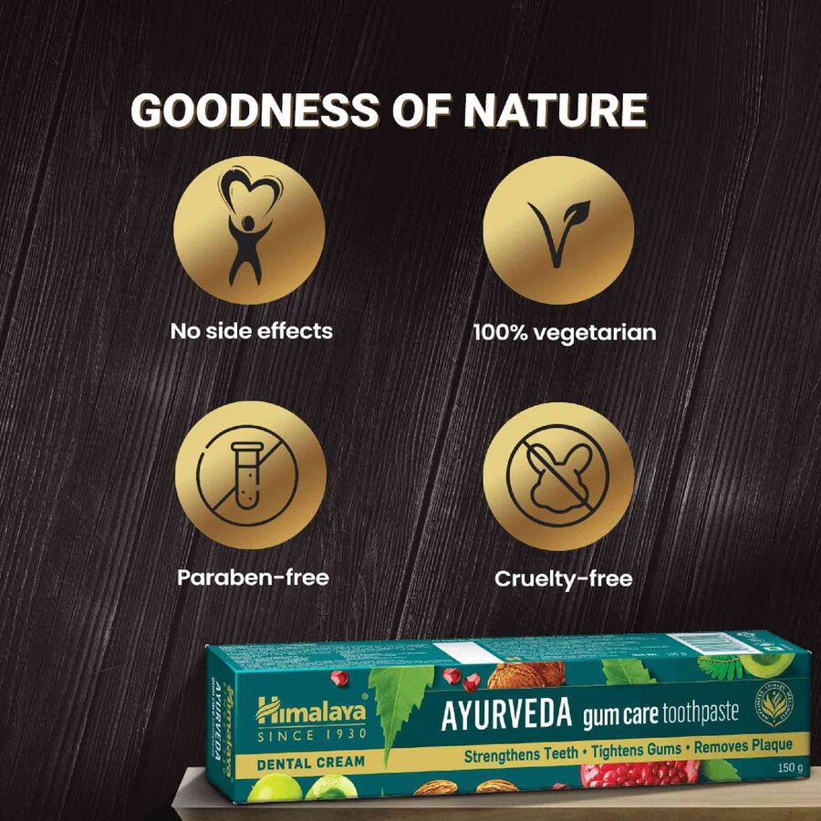 Ayurveda Gum Care Toothpaste, , large image number null