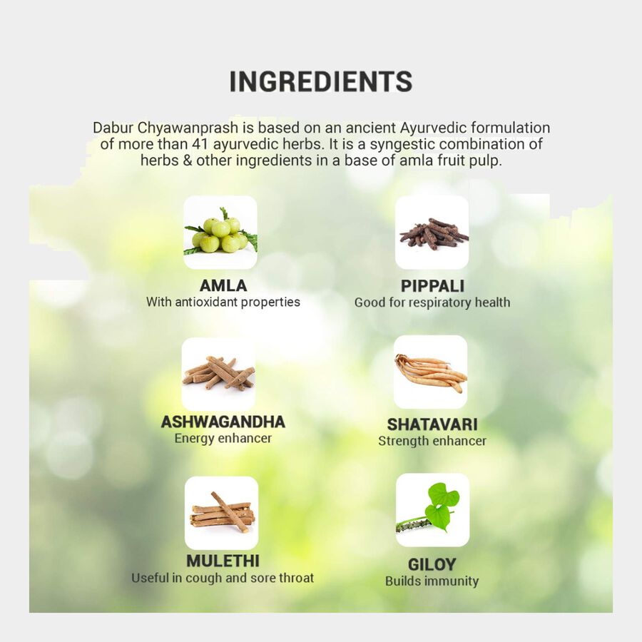 Chyawanprash Special, , large image number null