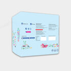 Soft Wings Regular Sanitary Pad, , small image number null