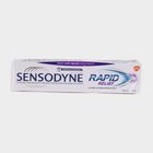 Rapid Relief Tooth Paste, , small image number null