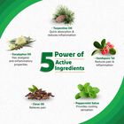 Rapid Action Spray, , small image number null