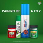 Fast Relief Spray, , large
