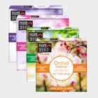 Assorted Air Freshener, , small image number null