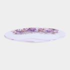 Melamine Full Plate, , small