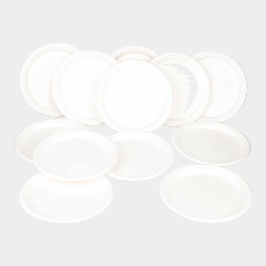 Disposable Full Plate 12Pcs., , large image number null