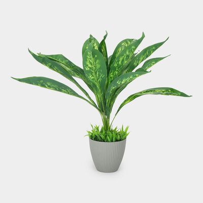 Plastic Artifical Plant