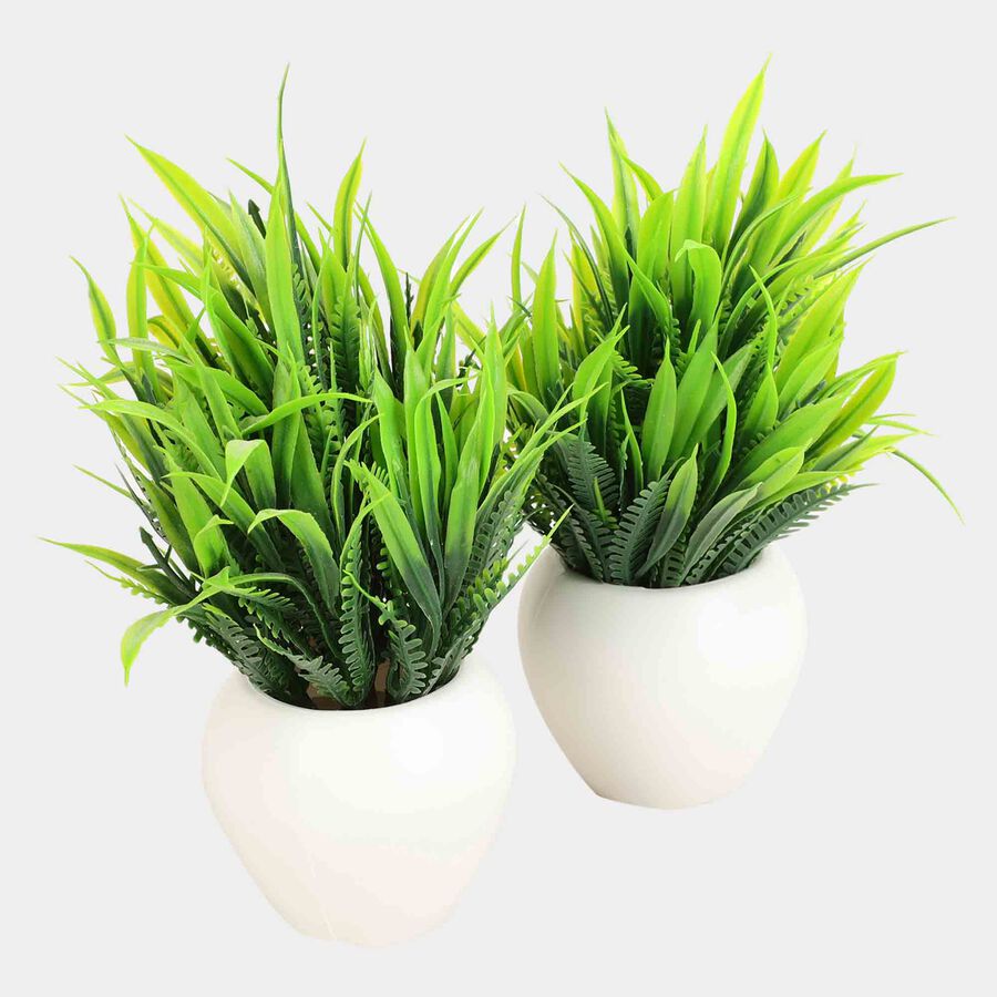 Plastic Artificial Plant, , large image number null