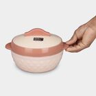 850ml Plastic & Steel Casserole, , small image number null