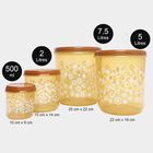 Plastic Container Set of 4, , small