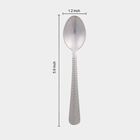 Stainless Steel Spoon Set of 6, , small image number null