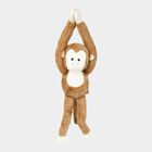 Brown Soft Toy, , small image number null