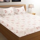 Multicolour Cotton Double Bedsheet, , small image number null