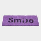  Purple Polyproplyn Mat, , small image number null