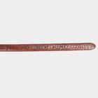 Women's Tan Polyurethane Belt, , small image number null