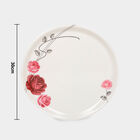 Melamine Full Plate, , small