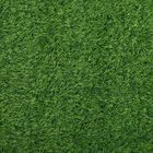 Green Polyester Carpet, , small image number null