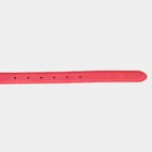 Women's Red Polyurethane Belt, , small image number null