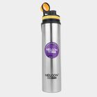1 Pc. 850 ml Steel Bottle, , small image number null