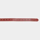 Women's Brown Polyurethane Belt, , small image number null