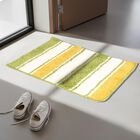 Anti-SKId Green Polyester Door Mat, , small image number null
