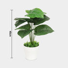 Plastic Artificial Plant, , small image number null