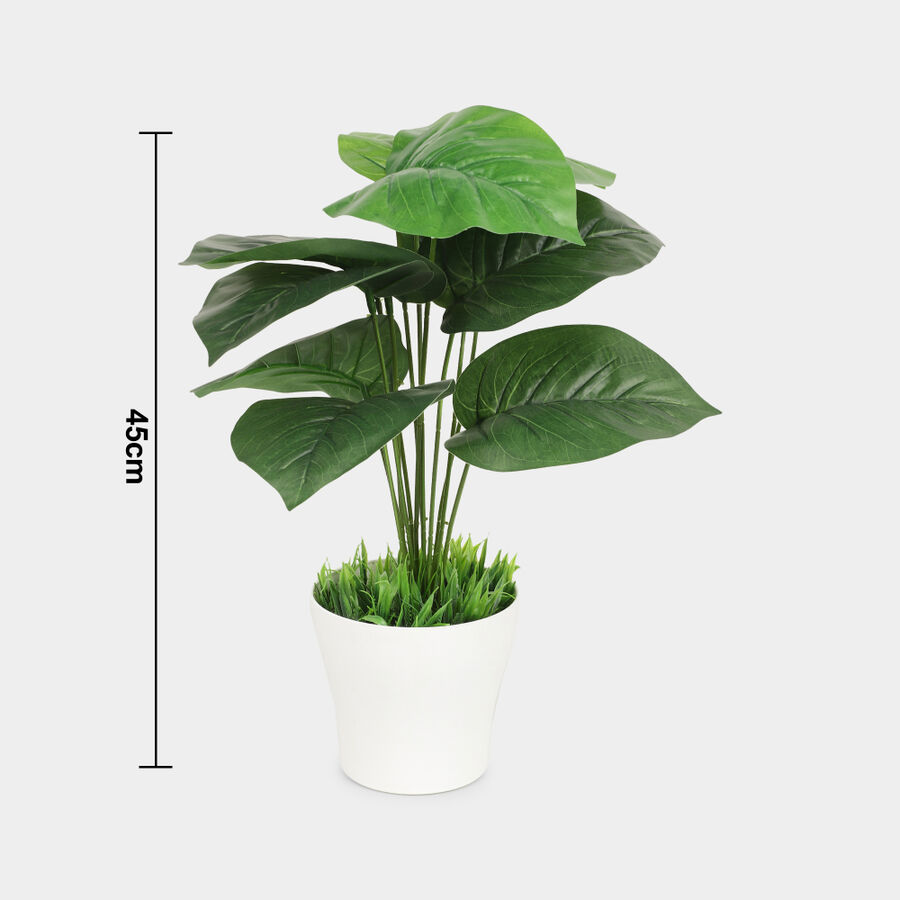 Plastic Artificial Plant, , large image number null
