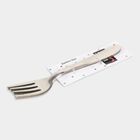 Stainless Steel Fork Set of 4, , small image number null