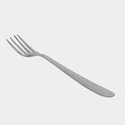 Stainless Steel Fork Set of 4, , small image number null