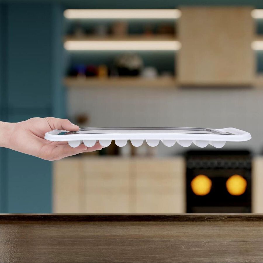 Plastic Ice Tray, , large image number null